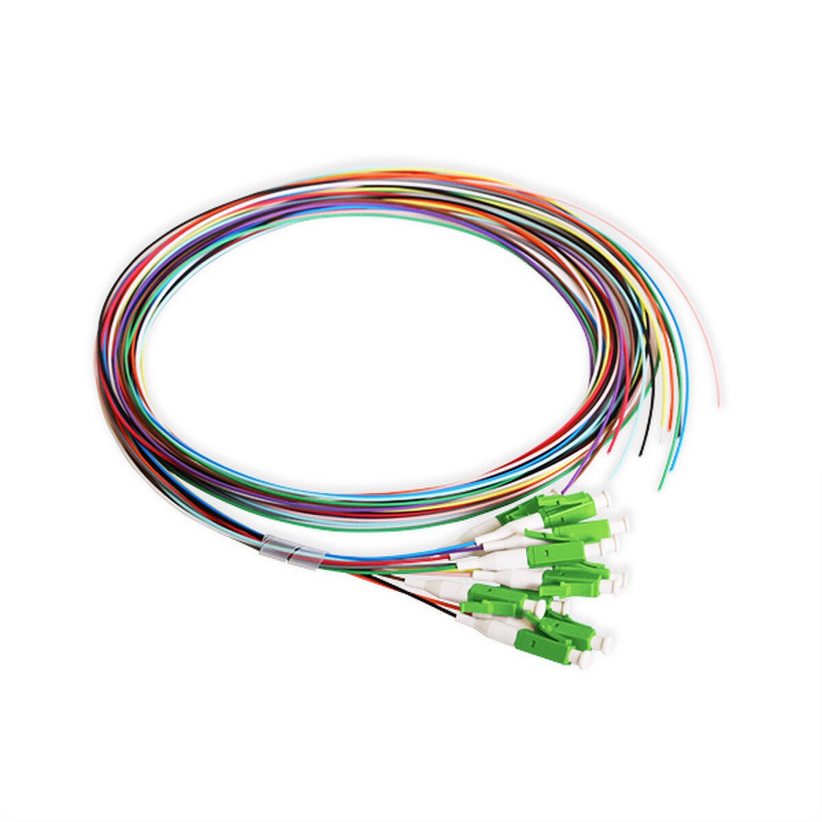 12 Fiber Pigtail, LC/APC, 900 µm, 9 µm OS2, 3m